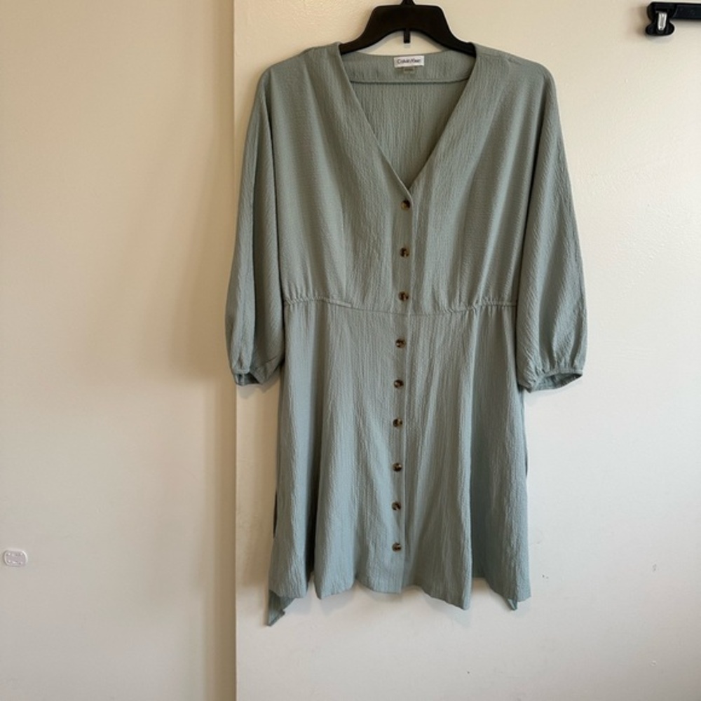 Calvin Klein Women's Green Button-Front Dress